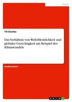 Das VerhäLtnis Von WeltöFfentlichkeit Und Globaler Gerechtigkeit Am Beispiel Des
