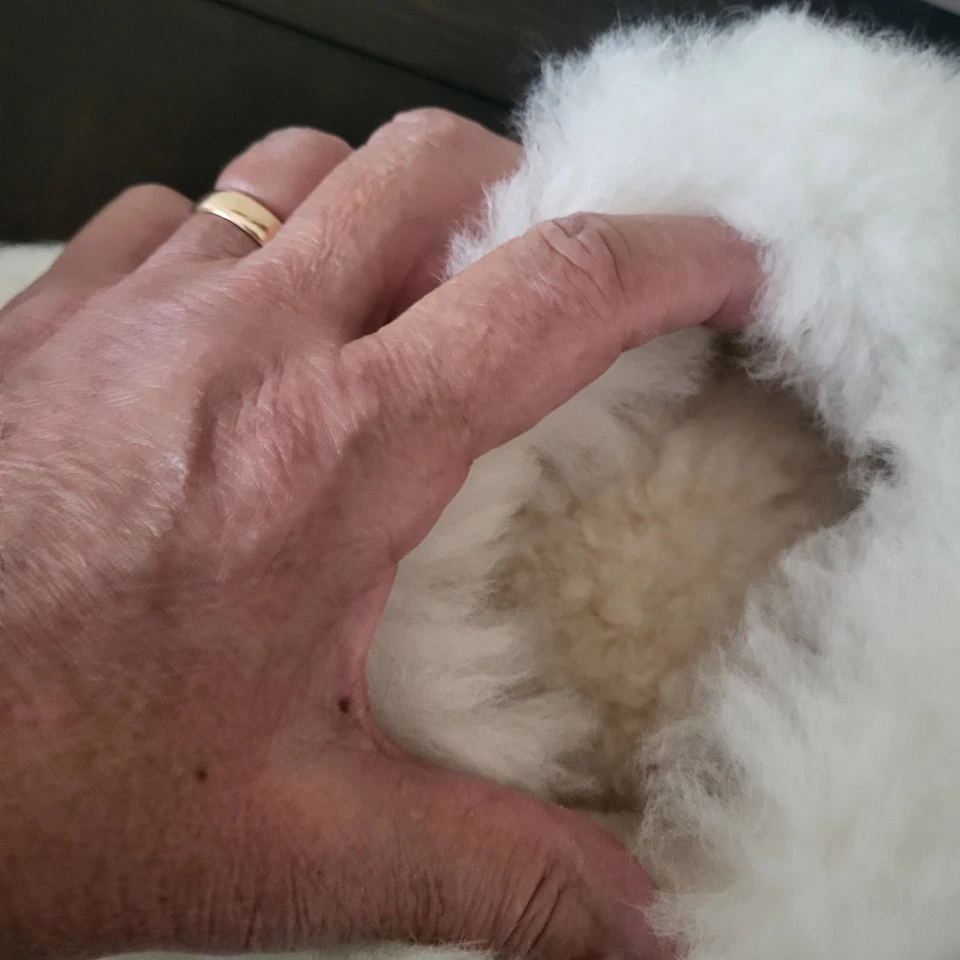 ZAPATILLAS MUJER BEBÉ PIEL DE ALPACA CON FORRO PIEL DE OVEJA TALLA 8. Foto 4 de 4