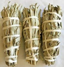 White Sage Smudge Stick 4" - 5" 3 Pack (Herb, House Cleansing, Smudge Bundle)