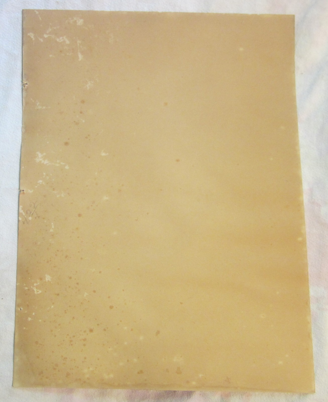 Foto 2 di 2