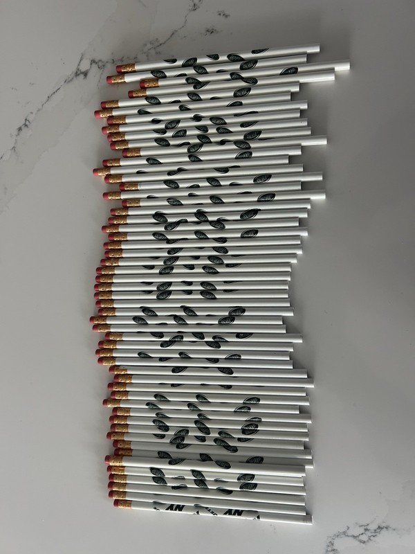 Cat Print Novelty Wooden Pencils w/ Erasers, White/Black Animal Print Lot