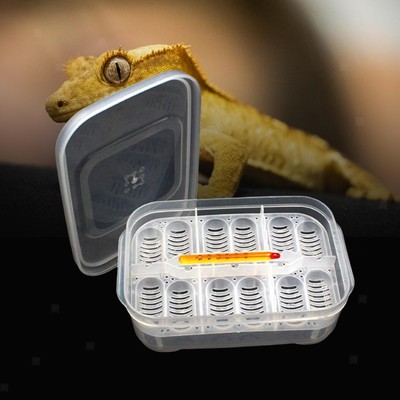 Reptile Incubator Tablett Eidechse Python Thermometer 12 Eierbehälter DIY Gecko