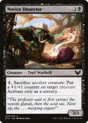 MTG Magic the Gathering Novice Dissector (79/447) Strixhaven School of Mages NM