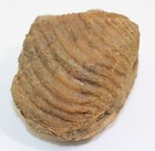 Bild 6 von 9