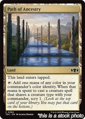 Path of Ancestry [TDC - 382MagicNM
