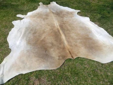 Make offer BEIGE LARGE ! BROWN Cowhide Rug natural Cowhides Cow Hide Skin 6X6 EB