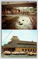 Ogle's Buffet Restaurant Parkway Gatlinburg Tennessee TN c1970s Postcard