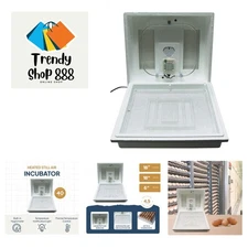 Heated Still Air Incubator for 4 Dozen Eggs with Built in Hygrometer, Solid S...