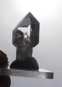 Vitreous super clear Quartz scepter crystal.  Crystal Park, Montana