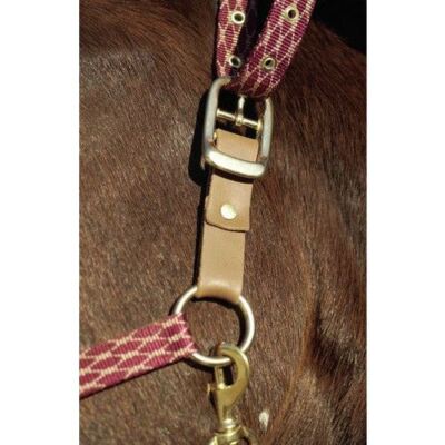 Centaur Replacement Breakaway Halter Set - Brown - 1 X 9