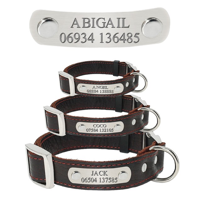 Personalized Leather Dog Collar with Name Plate Custom Buckle Engraved