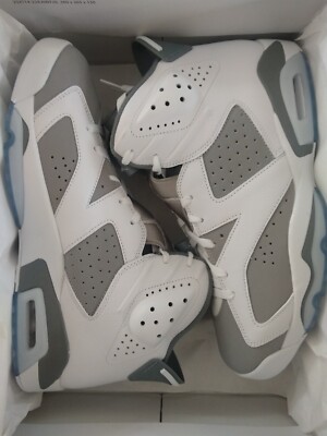 Nike Air Jordan 6 Retro ''Cool Grey'' EU46/US12  CT8529-100
