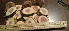 15 Cedar Wood Cookies 2" to 2 1/2" Live Edge
