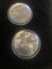 Set  Of 2 1977 Star Wars Button Pins — photo 2