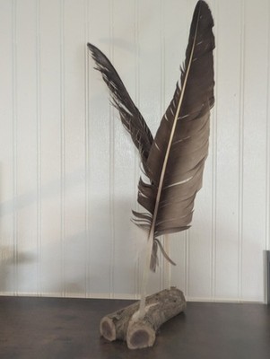 Natural Feather Holder, Live Edge Cedar Feather Display