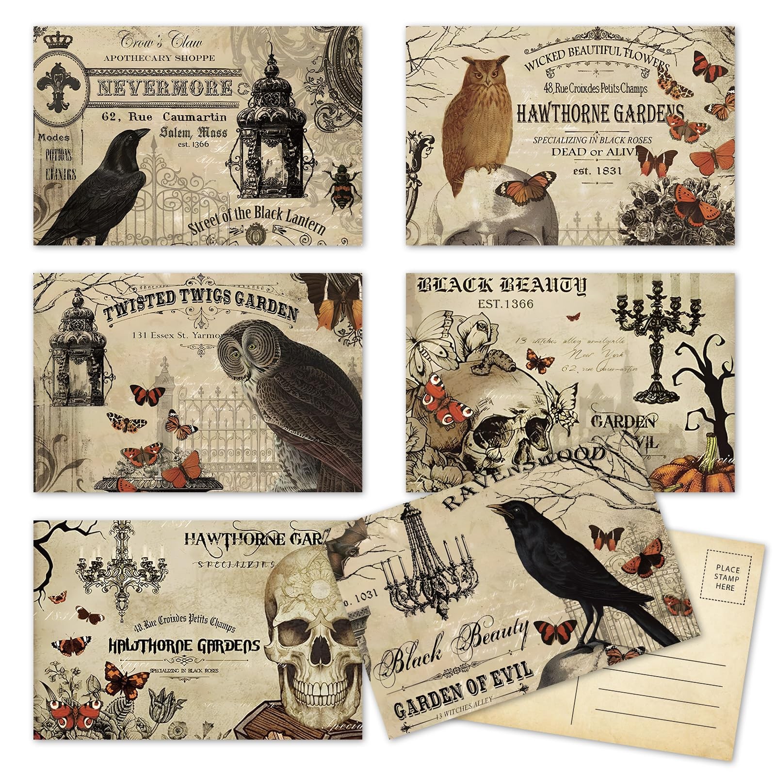 36Pcs Halloween Postcards Vintage Owl Crow Skull Post Cards Assortment 6 Designs