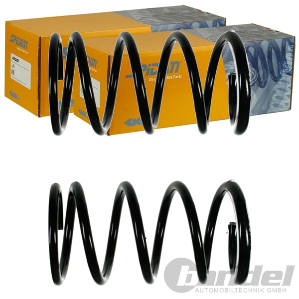 2X Spidan Fahrwerksfedern Hinten Passend FÜR Toyota RAV Links+Rechts-image