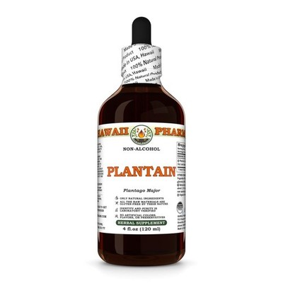 Plantain (Plantago Major) Glycerite, Dried Leaf Liquid Extract