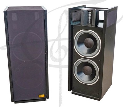ESS AMT 1eM Monitor Speakers All Original W/ Heil Tweeters VERY RARE UPGRADED!!
