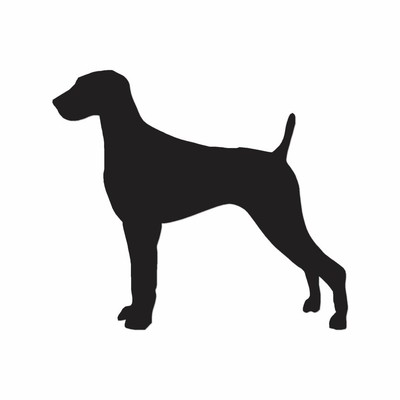 weim Got Weimaraner Sticker Die Cut Vinyl