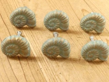 6 Knobs Drawer Pulls Cabinet Handles Snail Shell Nautical Decor Knob 6 Pack