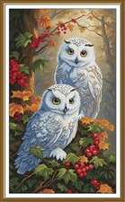 Creative Сross Stitch Embroidery Kit "Forest maidens" Nova Sloboda