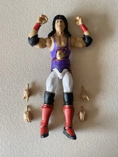 1-2-3 Kid WWE Mattel Elite Survivor Series 2025 Wrestling Figure loose