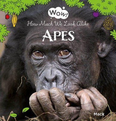 Wow Apes. How Much We Look Alike by Mack van Gageldonk HARDBACK 9781605379609