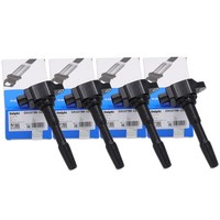 4X Delphi ZüNdspule FüR Renault Clio 4 Kangoo Megane 3 4 Scenic 3 4 1.2 1.6