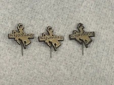 Set Of 3 VTG Souvenir State of Wyoming Pin