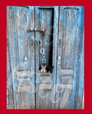 Cat Art Sample Wallpaper Background Desktop Digital Image Picture Photo-19