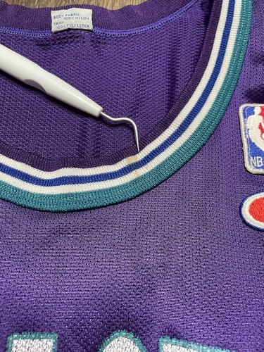 Vintage Alonzo Mourning Charlotte Hornets Champion #33 Jersey Sz 48 - Picture 10 of 24