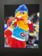 Ted Giannoulos autographed signed San Diego Chicken 8x10 photo Beckett BAS coa