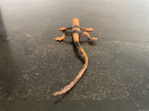 Hard Rubber PVC Toy Gecko Lizard Vintage 1970's - Picture 4 of 9