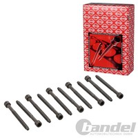 Elring Zylinderkopfschraubensatz FüR Audi A3 A4 A5 A6 A8 Q3 Q5 TT VW Golf Passat