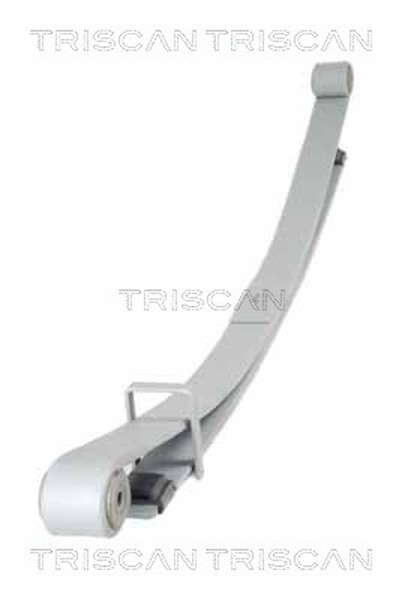 Federnpaket Triscan 8765 10011 FüR Nissan X62 Opel NV400 Renault Movano Cdti RWD-image