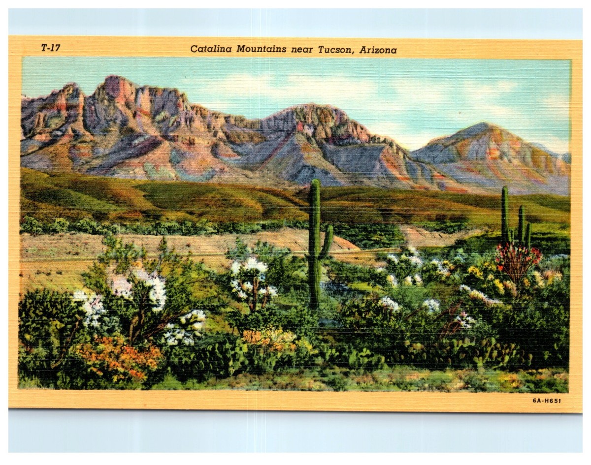Postcard Catalina Mountains near Tucson Arizona Vintage 