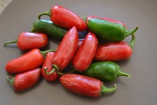 200 Tam Jalapeno Pepper Seeds --------- Heirloom ----- NON GMO ---------- FRESH