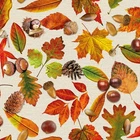 Autumn Leaf Paper Napkins Acorns Thanksgiving Harvest Fall Decoupage Serviettes