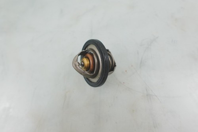 #ad 2011 2024 Polaris Sportsman 570 RZR 800 Ranger XP 1000 Northstar OEM Thermostat $9.97