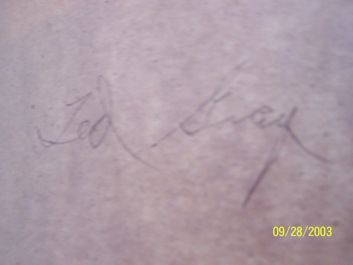 Picture 3 of 12