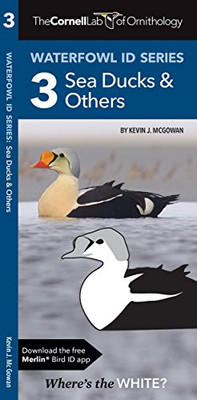 Cornell Lab of Ornithology Waterfowl Id: #3 Sea Ducks & - Pamphlet NEW Kevin J.