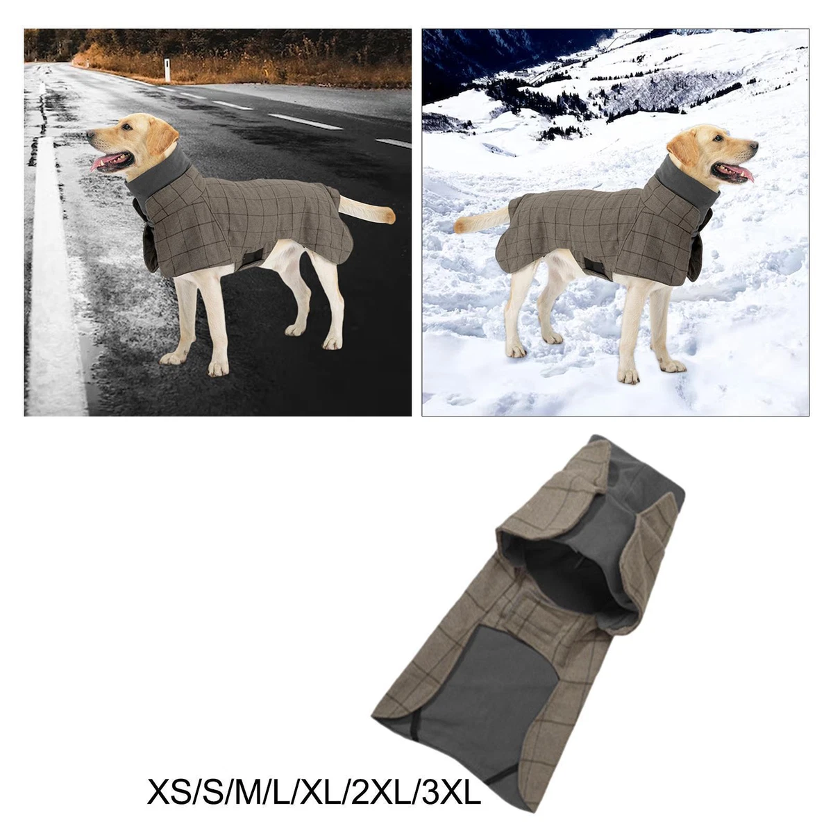 Stylish dog clothes sales