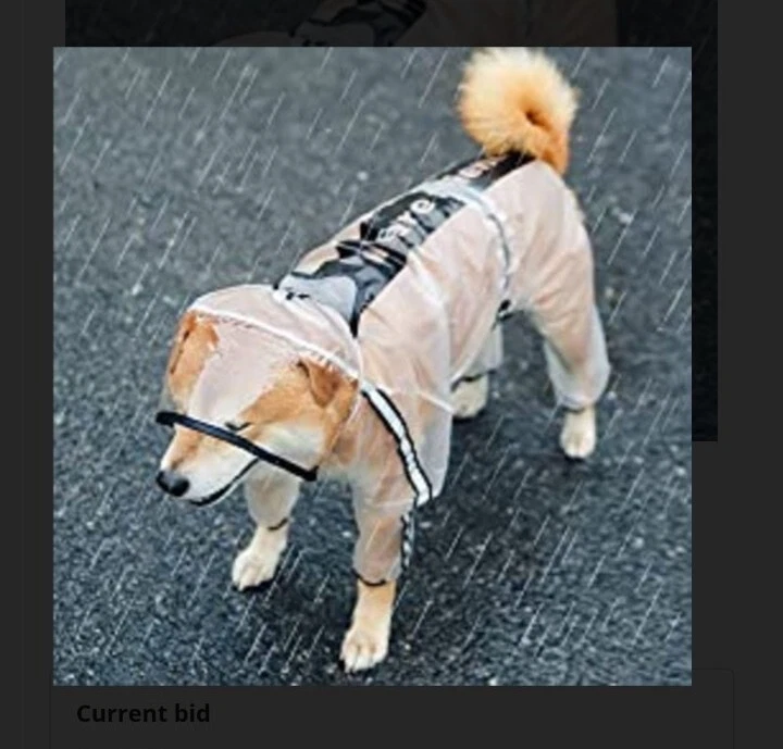 VETEMENTS Impermeabile per cani simpatico