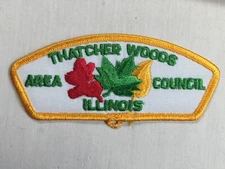 Thatcher Woods Council twill plastic back BSA CSP Patch