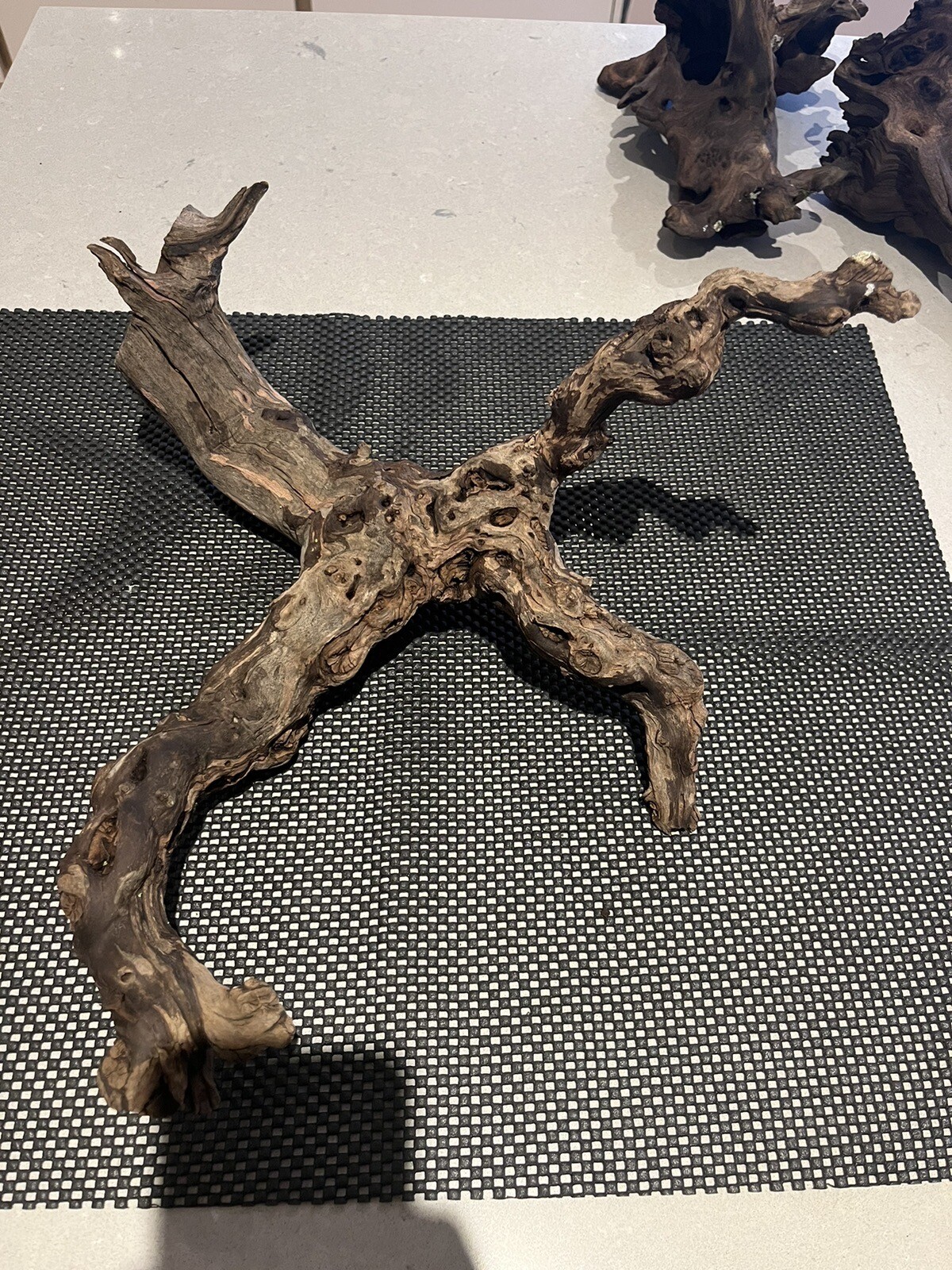 Real Aquarium Bog Wood Large Piece Logs Driftwood For Aquariums SE100ZG eBay