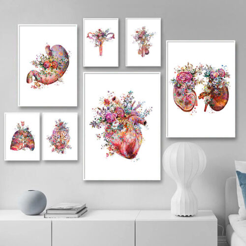 Organ Brain Heart Anatomy Canvas Poster Medical Art Print Education Painting - Picture 1 of 15