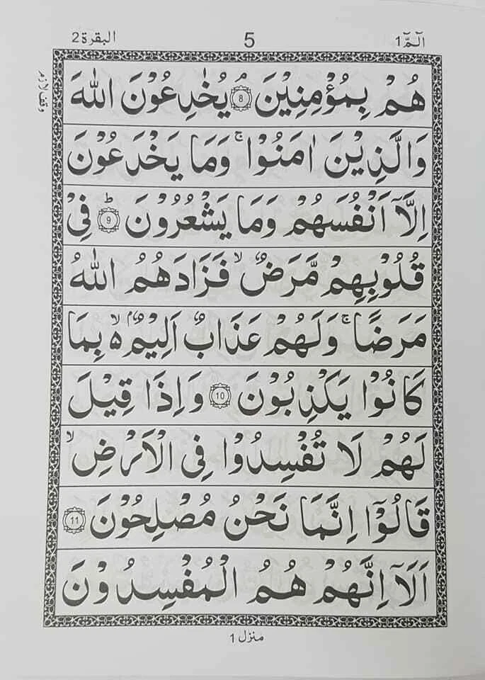 30 Para Set with Kabah cover box (100) - PB - Image 4 of 4