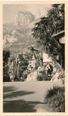 Snapshot Monte Carlo exotische Gartenansicht Frau stehend Straße Felsen 