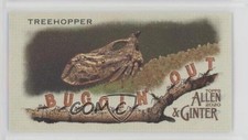 2020 Topps Allen & Ginter's Buggin' Out! Minis Treehopper #MBO-20 9r7